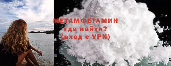 прущие грибы Киренск