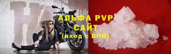 прущие грибы Киренск