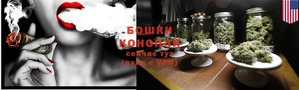 прущие грибы Киренск
