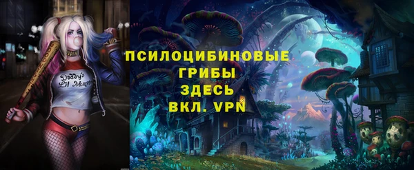 таблы Карпинск