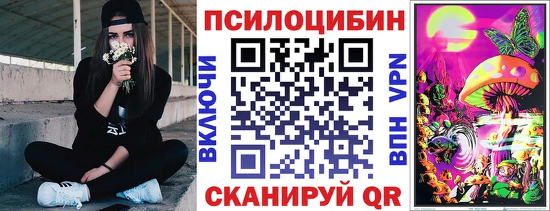 Купить закладки  Дмитриев  Псилоцибиновые грибы Magic Shrooms 